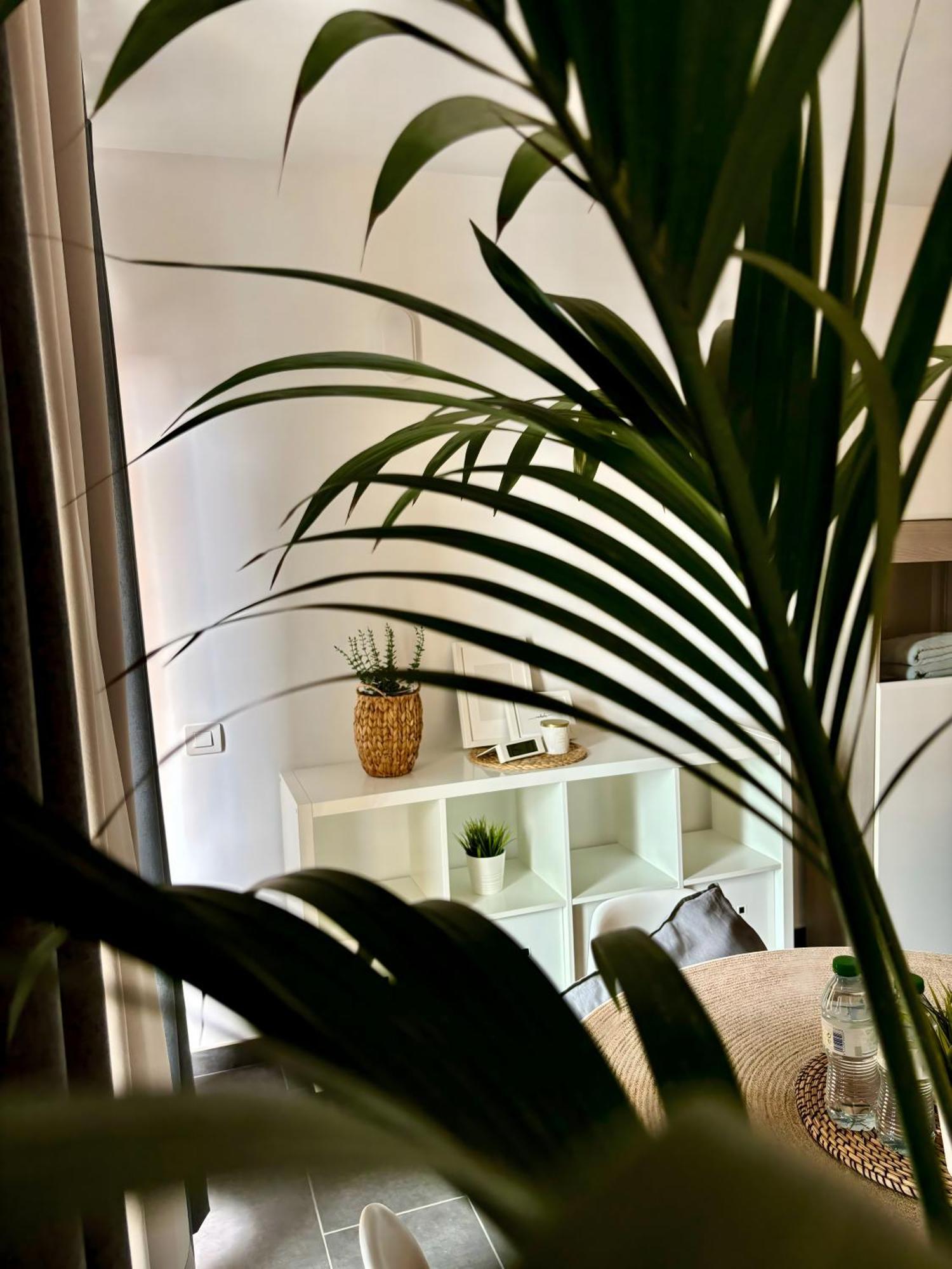 Marina Suites Tenerife 拉克鲁斯 外观 照片